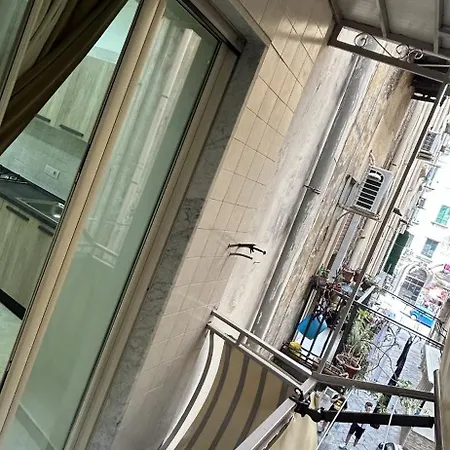 Dora House Valentino *